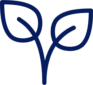 Growth icon